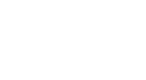 Nerve Text White logo